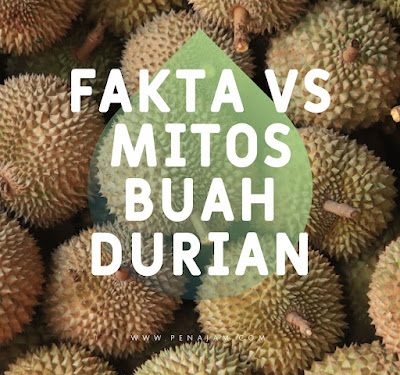 Mitos vs Fakta Durian