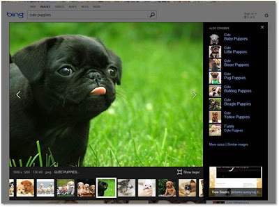 Bing Image Search Puppies