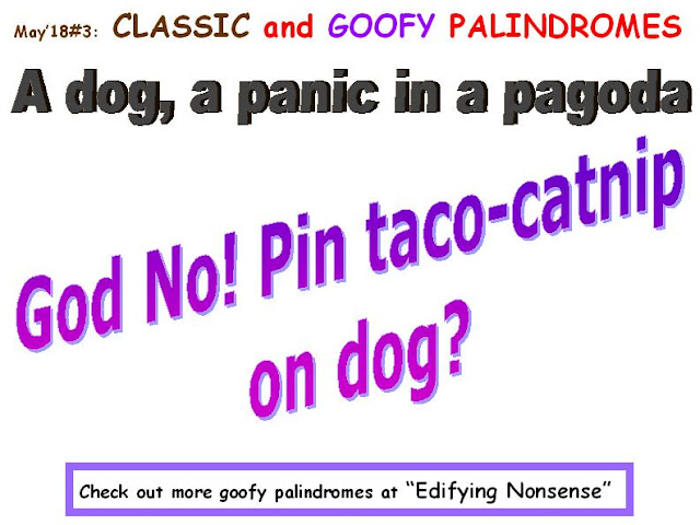 CLASSIC: A dog, a panic in a pagoda. GOOFY: God, No! Pin taco-catnip on dog?  