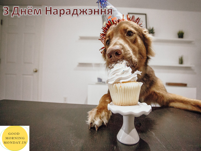 Happy Birthday Image In Belarusian Language