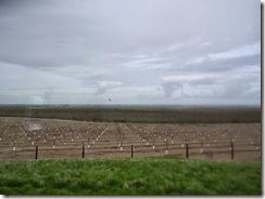 DSCN6829