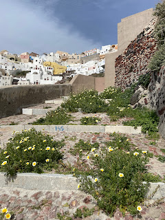 Steps with flowers leading from Amoudi Bay to Oia Santorini.