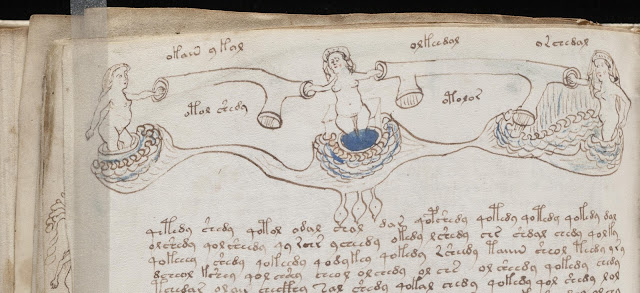 Manuscrito Voynich