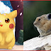 Real Life Pokemon In Mythological History Of Animals