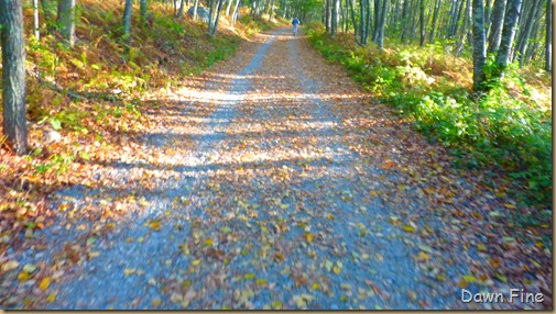 Bluff point_002