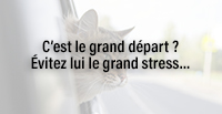  C’est le grand départ ? Évitez lui le grand stress…