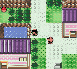 pokemon coral screenshot 2