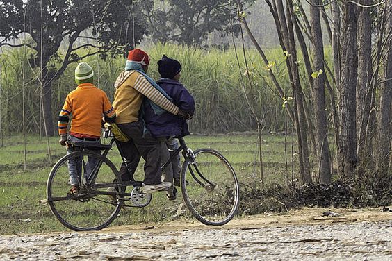 3 young children on a cycle - Prints on Fine Art America