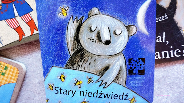 stary niedźwiedź