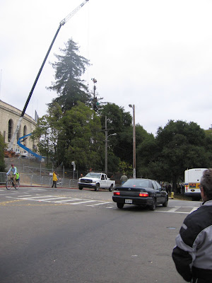 UC Berkeley police negotiating with tree sitters