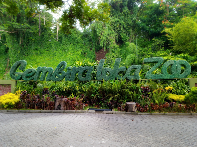 List of the Best Zoos in Indonesia, and Many Collections