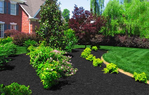 carlyklock: DIY Landscaping: The Plan