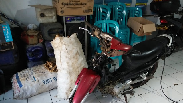 Pencuri Jahe Lari Tinggalkan Hasil Curian Bersama Sepeda Motornya Setelah Kepergok Warga