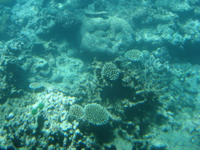 Great Barrier Reef