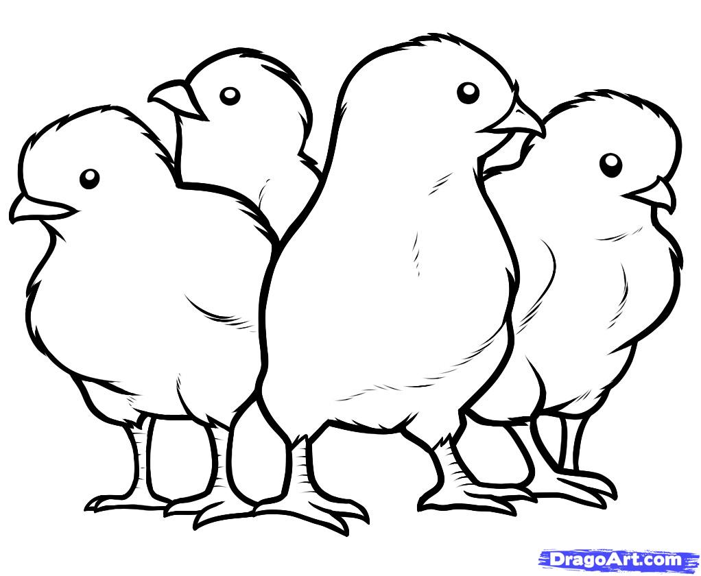 Gambar Kartun Ayam Dan Anak Ayam Bestkartun