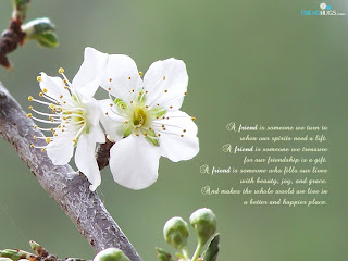 Best Friend Poetry