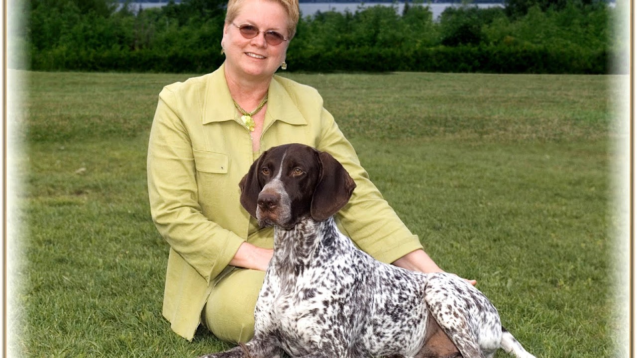 German Shorthaired Pointer Puppies For Sale In Michigan