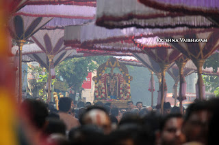 Ippasi Thirumoolam,Sattrumurai, Manavala Maamunigal,Purappadu,2016, Video, Divya Prabhandam,Triplicane,Thiruvallikeni,Utsavam,