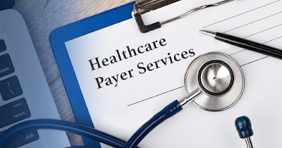 Healthcare Payer Software Solutions Services Market