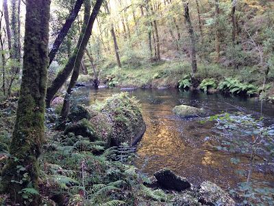 By E.V.Pita / River Mandeo (Galicia, Spain) / Autor: E.V.Pita / Río Mandeo (Coirós) 