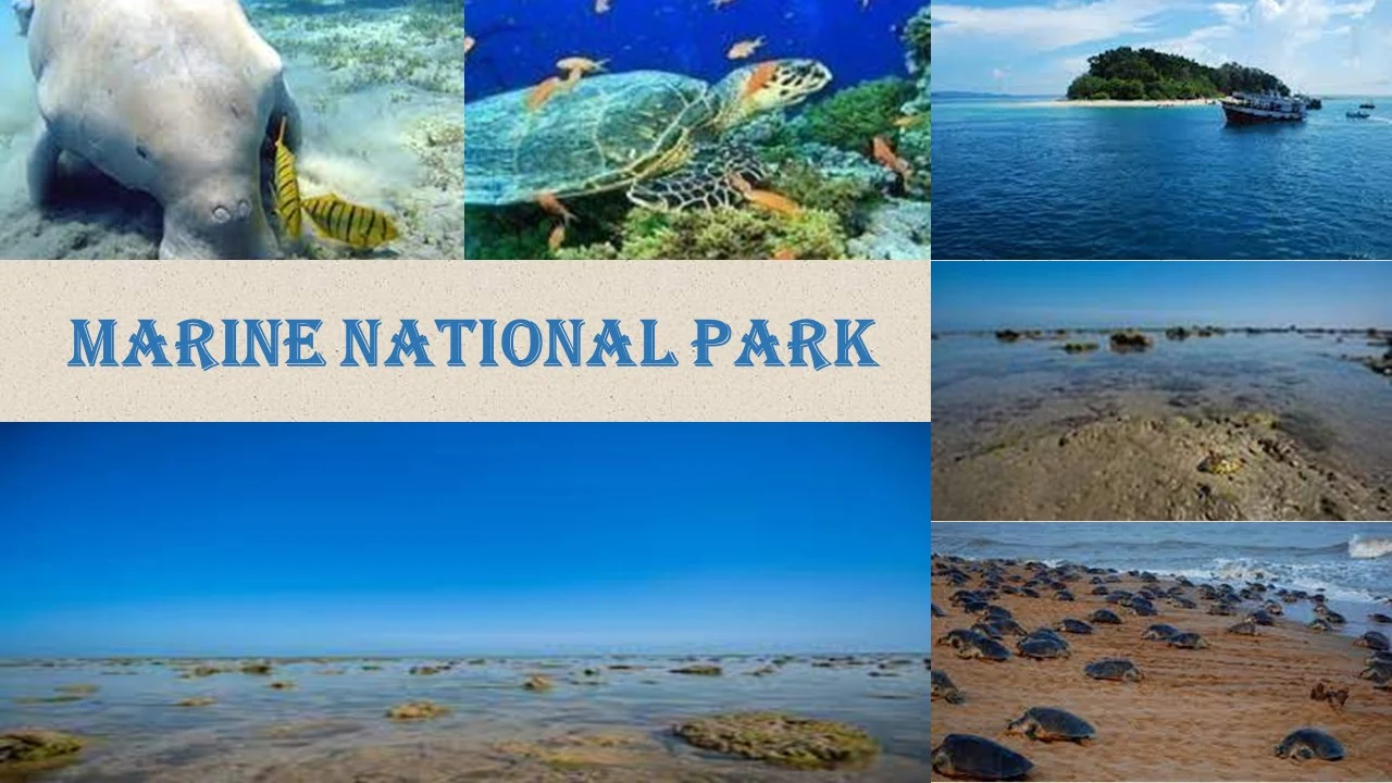 Marine National Park