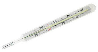Which thermometer is portable and simple to use