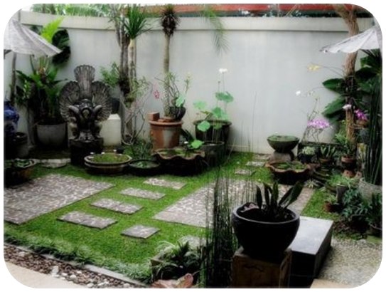 Contoh model taman belakang rumah  minimalis 