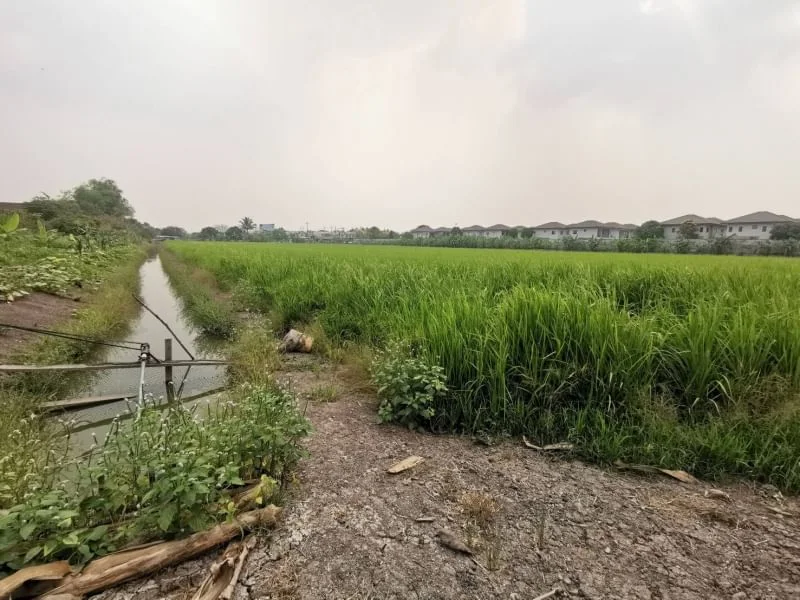 ภาพมุมสูงที่ดิน 26 ไร่ บางบัวทอง นนทบุรี