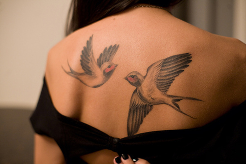  sure if you can notice but I'm developing an obbession for bird tattoos