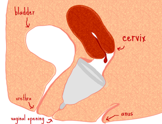 Resultado de imagen para menstrual cup vagina