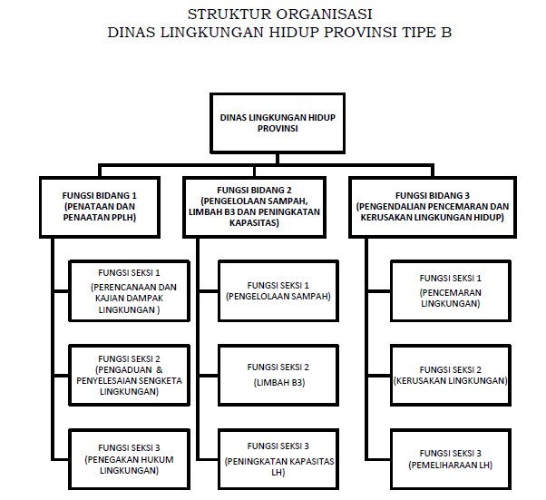 STRUKTUR ORGANISASI DINAS LINGKUNGAN HIDUP PROVINSI TYPE B