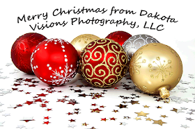 Christmas Ornaments, sparkly stars, glitter, Christmas wishes, Black Hills Photography