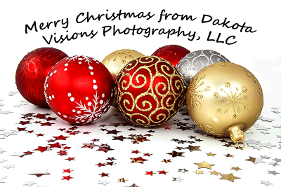 Christmas Ornaments, sparkly stars, glitter, Christmas wishes, Black Hills Photography