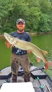 in the spread muskie fishing videos cory allen jigging musky