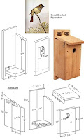 Bird Nest Box