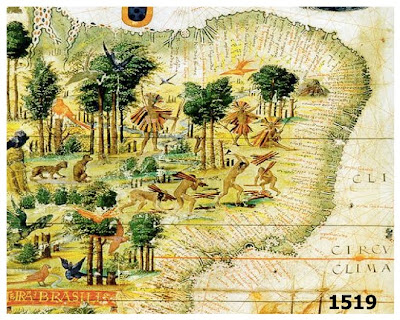 Colonização do Brasil, Exploração do Pau-Brasil e Pecuária