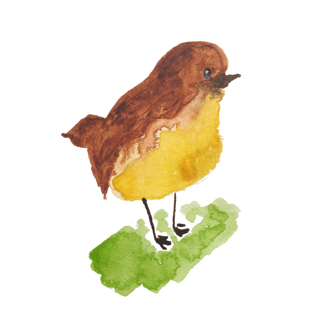ptak z żółtym brzuszkiem na trawie