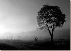 clip_image010
