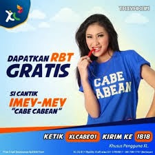 download lagu cabe cabean