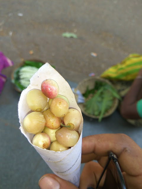 wild-berries-ankola-karnataka