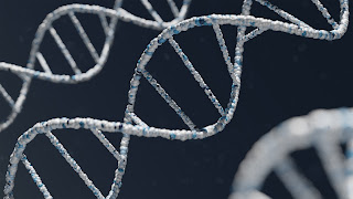 animation of DNA helix