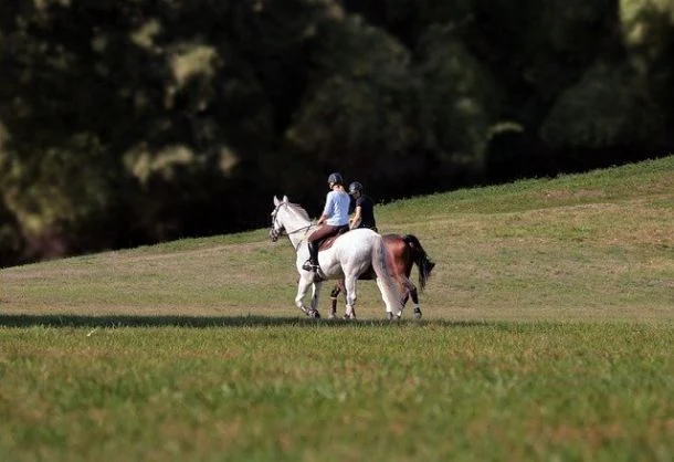 Horse Riding