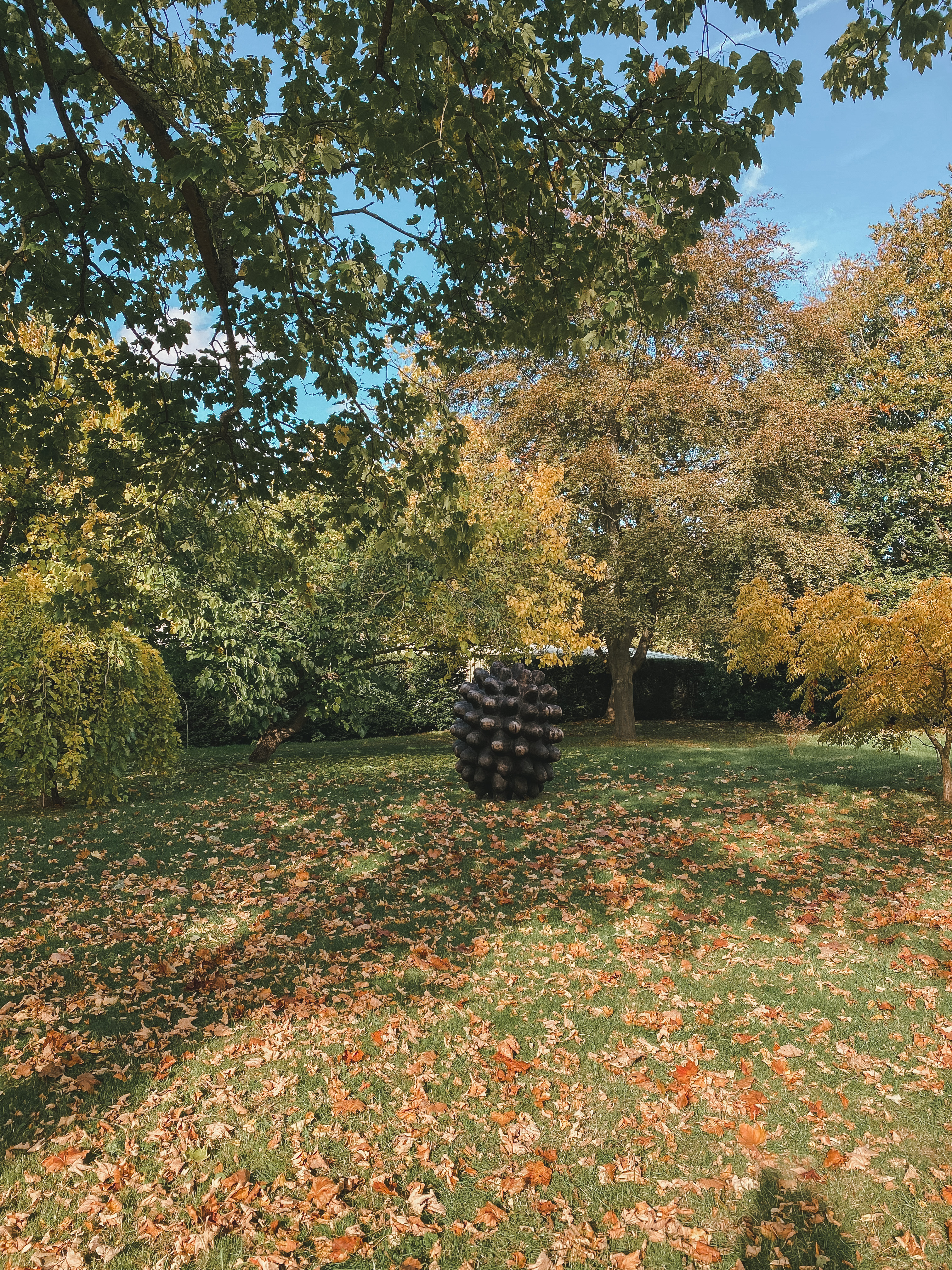 Autumn Colours @ Chippenham Park Gardens