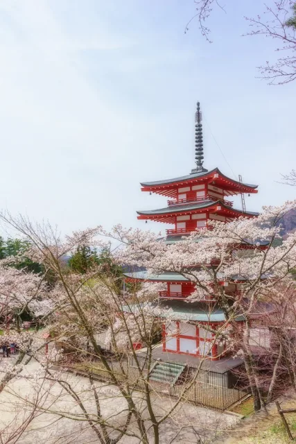 新倉山浅間公園（山梨）の忠霊塔と桜