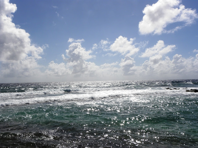 Salt Fields Bonaire