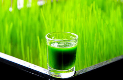 Grass Juice Super drink for Beauty 