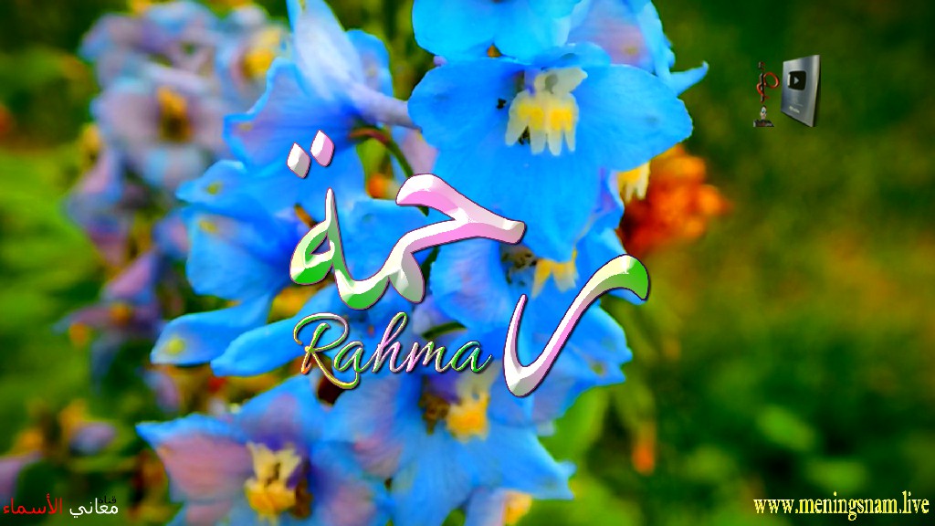 معنى اسم, رحمة, وصفات, حاملة, هذا الاسم, Rahma,