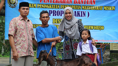 Pemdes Kesawen Serahkan 10 Ekor Kambing Ke Masyarakat Miskin