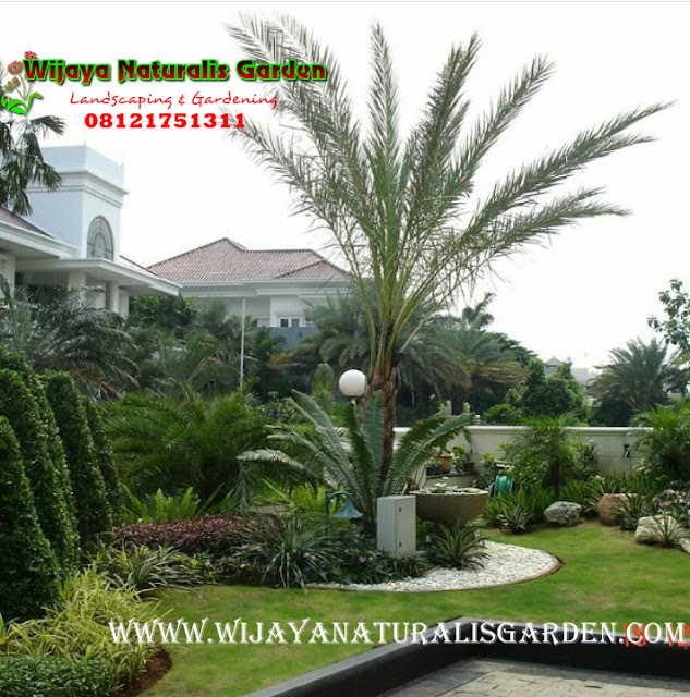 Tukang Taman Surabaya Garden Center,Tukang Taman Surabaya,Tukang Taman Surabaya Murah,Tukang Taman Surabaya Barat,Tukang Taman Kota Surabaya ,Harga Tukang Taman Surabaya ,Tukang Taman Murah di Surabaya,Tukang Buat Taman di Surabaya,Tukang Taman Surabaya Wijaya Naturalis,Tukang Taman Surabaya Murah,Tukang Taman Surabaya Terbaik,Tukang Pembuatan Taman Surabaya,Jasa Tukang Taman Surabaya,Tukang Taman di Surabaya,Tukang pembuatan Taman di Surabaya