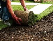 Scottsdale Landscape Contractors